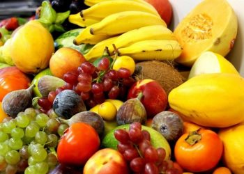 RN quer expandir área da produção de frutas com foco na exportação