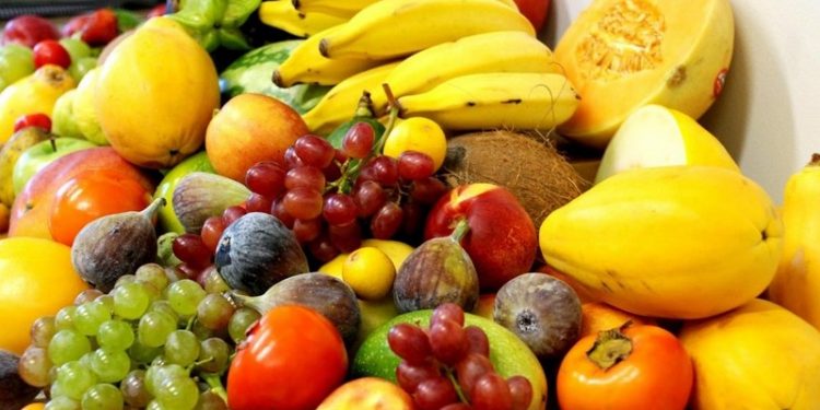 RN quer expandir área da produção de frutas com foco na exportação