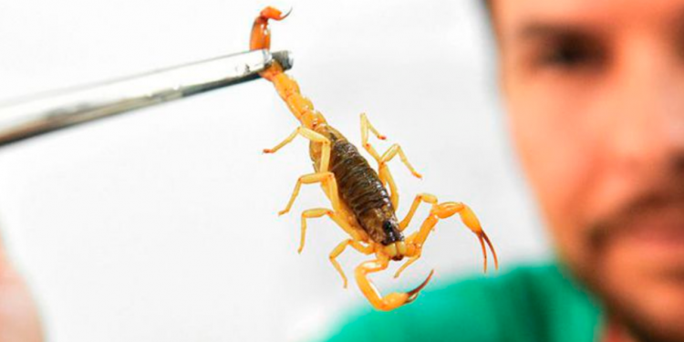 Vigilância epidemiológica de Parnamirim alerta para incidências comuns no verão