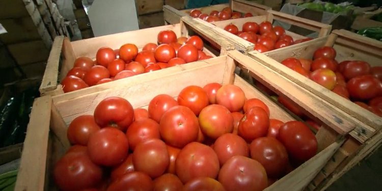 Preço do tomate aumenta 35% em um mês e cesta básica chega a custar R$ 399 em Natal