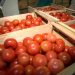 Preço do tomate aumenta 35% em um mês e cesta básica chega a custar R$ 399 em Natal