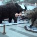 Natal recebe exposição internacional Gigantes da Era do Gelo
