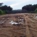 Trecho da RN-061 tem risco de assaltos e PM sugere que motoristas usem outros acessos à Praia da Pipa