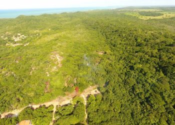 Duas pessoas são detidas por desmatarem área de proteção ambiental na praia de Pipa, RN