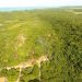 Duas pessoas são detidas por desmatarem área de proteção ambiental na praia de Pipa, RN