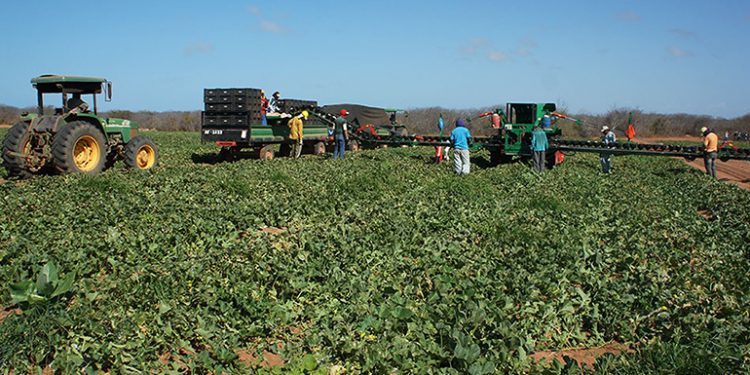 Rio Grande do Norte perde mais de 6 mil empregos no ano