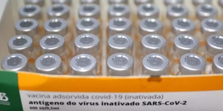 Ministério da Saúde espera receber IFA para Coronavac na próxima semana; chegada de insumo prevista para terça