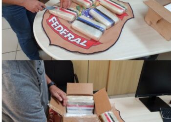 PF apreende em Parnamirim 5,7 kg de cocaína remetidos via Correios