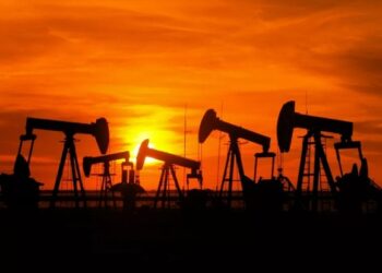 Exportações do RN sobem 191% no primeiro trimestre de 2022 e alcançam maior valor em 12 anos