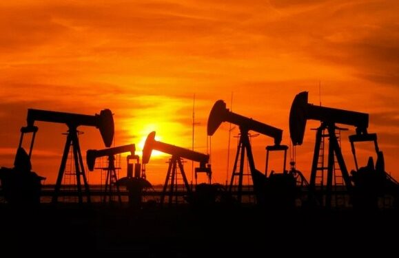 Exportações do RN sobem 191% no primeiro trimestre de 2022 e alcançam maior valor em 12 anos