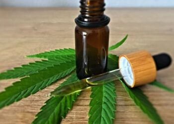 Conselho de Medicina suspende resolução sobre prescrição da Cannabis medicinal