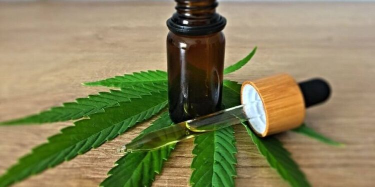 Conselho de Medicina suspende resolução sobre prescrição da Cannabis medicinal