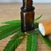 Conselho de Medicina suspende resolução sobre prescrição da Cannabis medicinal