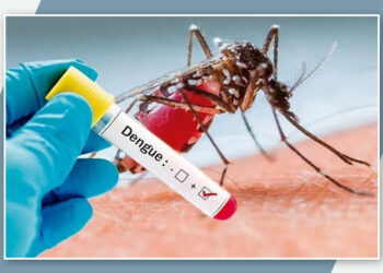 Casos prováveis de dengue no RN em 2024 ultrapassam os registrados em todo o ano de 2023