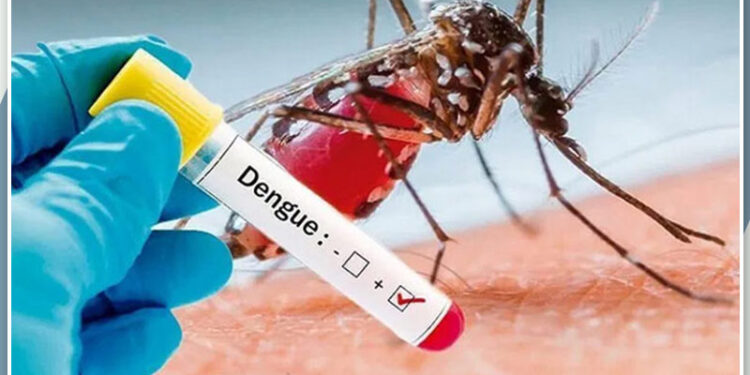 Casos prováveis de dengue no RN em 2024 ultrapassam os registrados em todo o ano de 2023