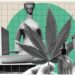 Julgamento sobre porte de maconha volta à pauta do STF com 5 votos pela descriminalização