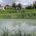 Parnamirim: ações de prevenção e limpeza em Lagoas de Captação se estendem pelo final de semana