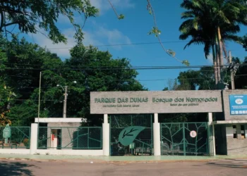 Parque das Dunas ganha novos brinquedos com acessibilidade