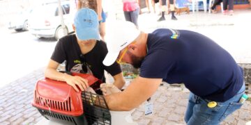 Parnamirim avança na vacinação antirrábica com imunização de mais 1.331 animais no último sábado