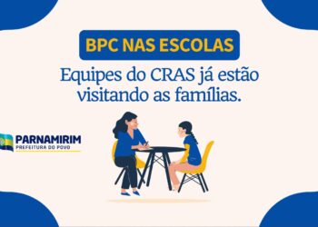 Município de Natal libera viagens de cães e gatos no transporte público. Veja as regras para transporte e os horários permitidos.