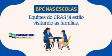 Município de Natal libera viagens de cães e gatos no transporte público. Veja as regras para transporte e os horários permitidos.